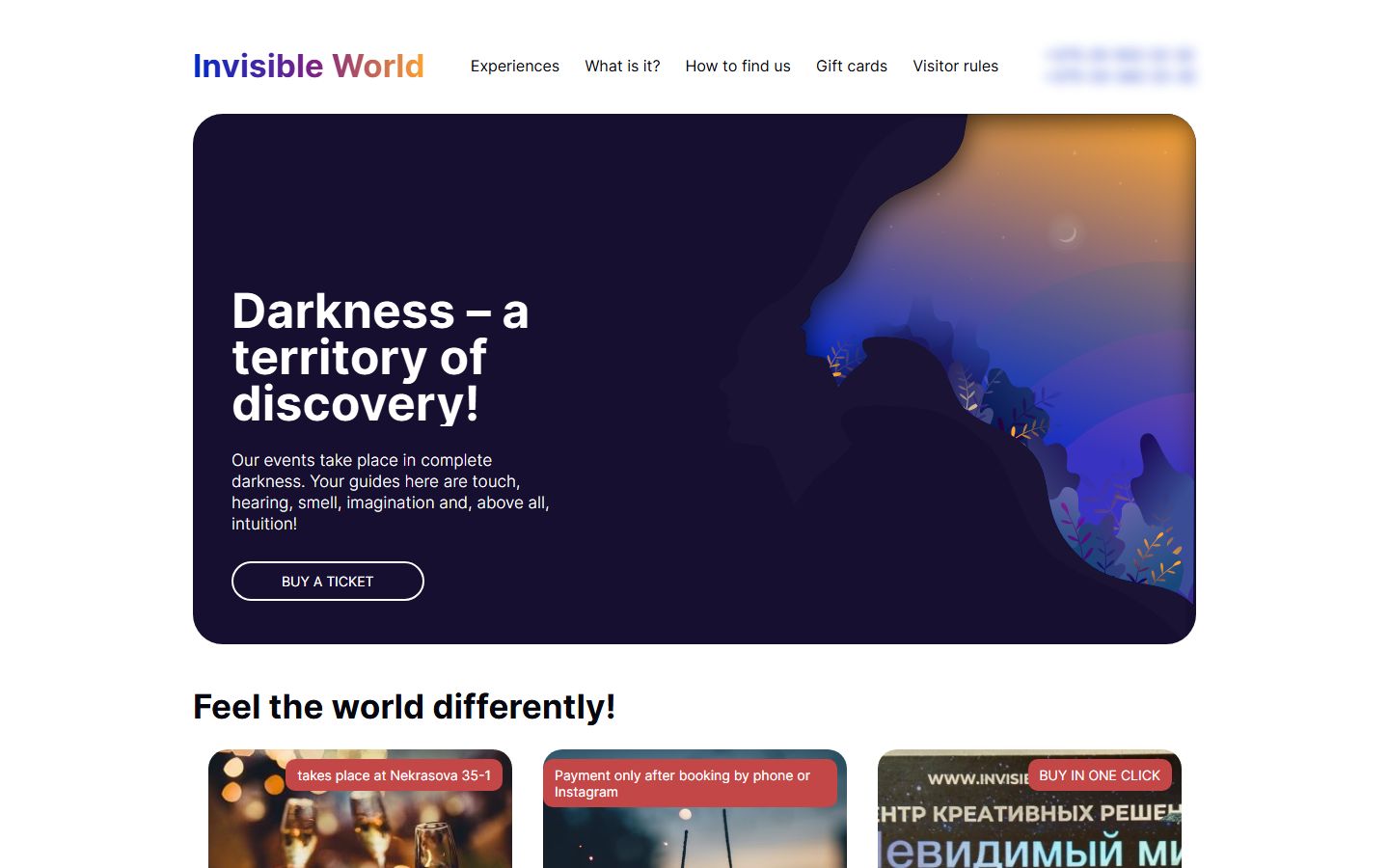 Vorher: bisherige Website von Invisible World (ins Englische übersetzt)